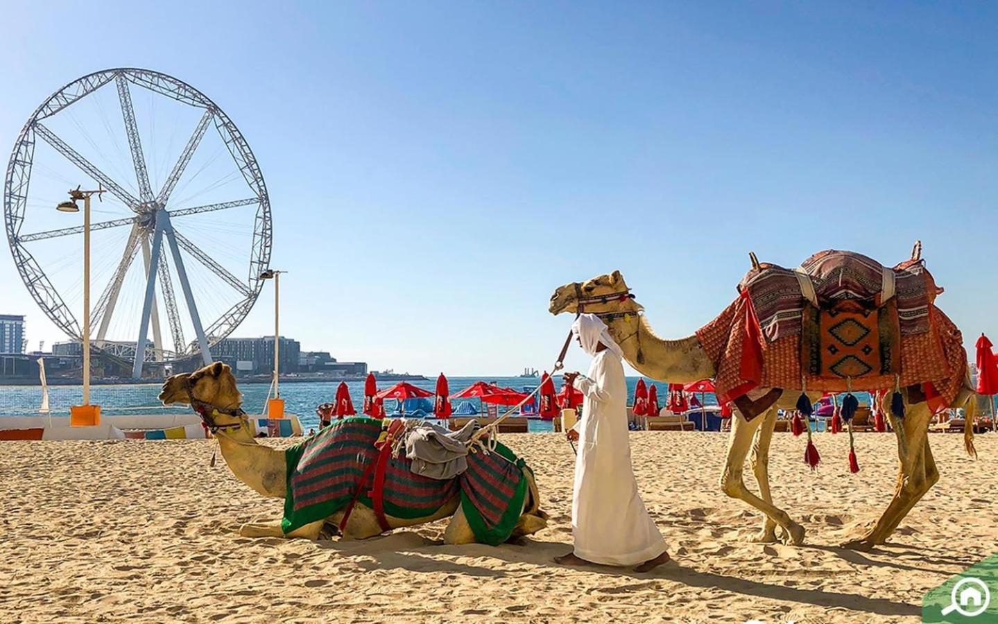Murjan Jbr Apartments By Happy Season Dubaï Extérieur photo